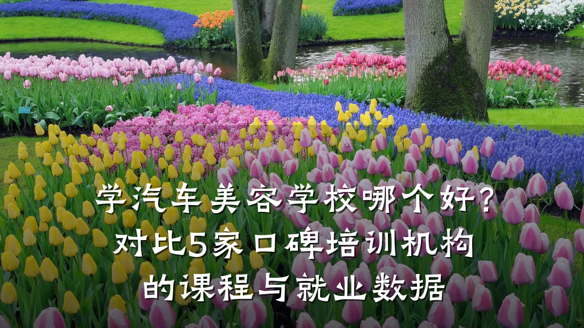 学汽车美容学校哪个好?对比5家口碑培训机构的课程与就业数据