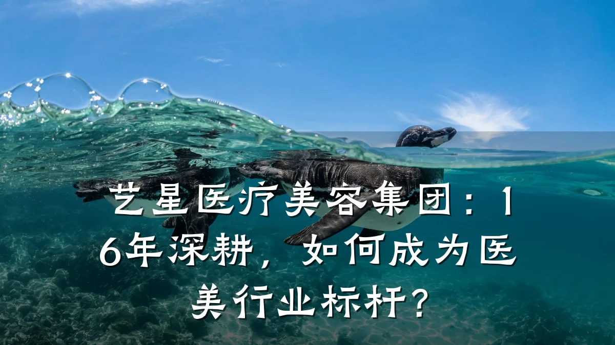 艺星医疗美容集团:16年深耕,如何成为医美行业标杆?