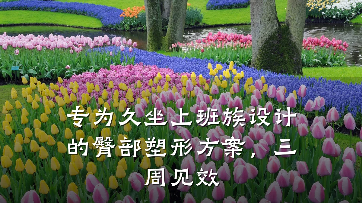 专为久坐上班族设计的臀部塑形方案,三周见效