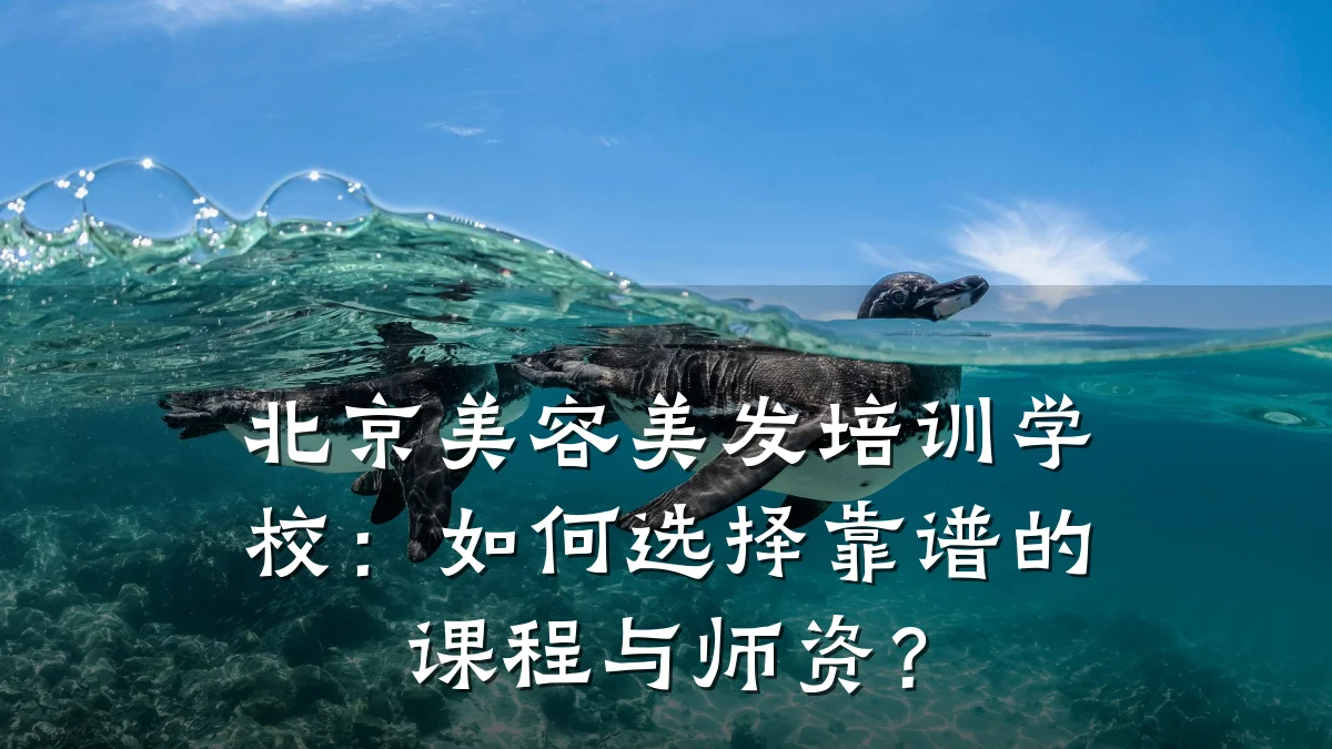 北京美容美发培训学校:如何选择靠谱的课程与师资?
