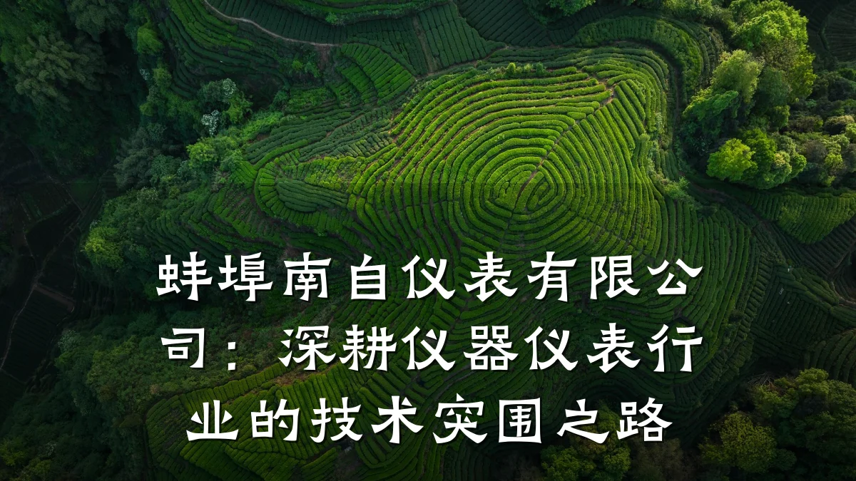 蚌埠南自仪表有限公司:深耕仪器仪表行业的技术突围之路