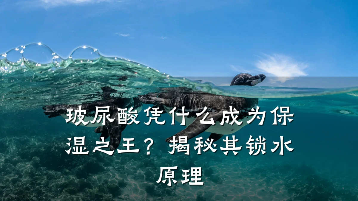 玻尿酸凭什么成为保湿之王?揭秘其锁水原理