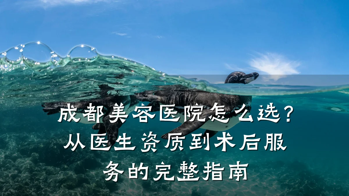 成都美容医院怎么选?从医生资质到术后服务的完整指南