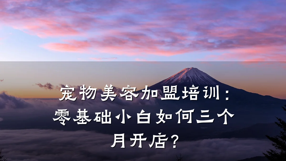 宠物美容加盟培训:零基础小白如何三个月开店?