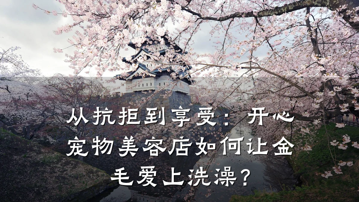 从抗拒到享受:开心宠物美容店如何让金毛爱上洗澡?