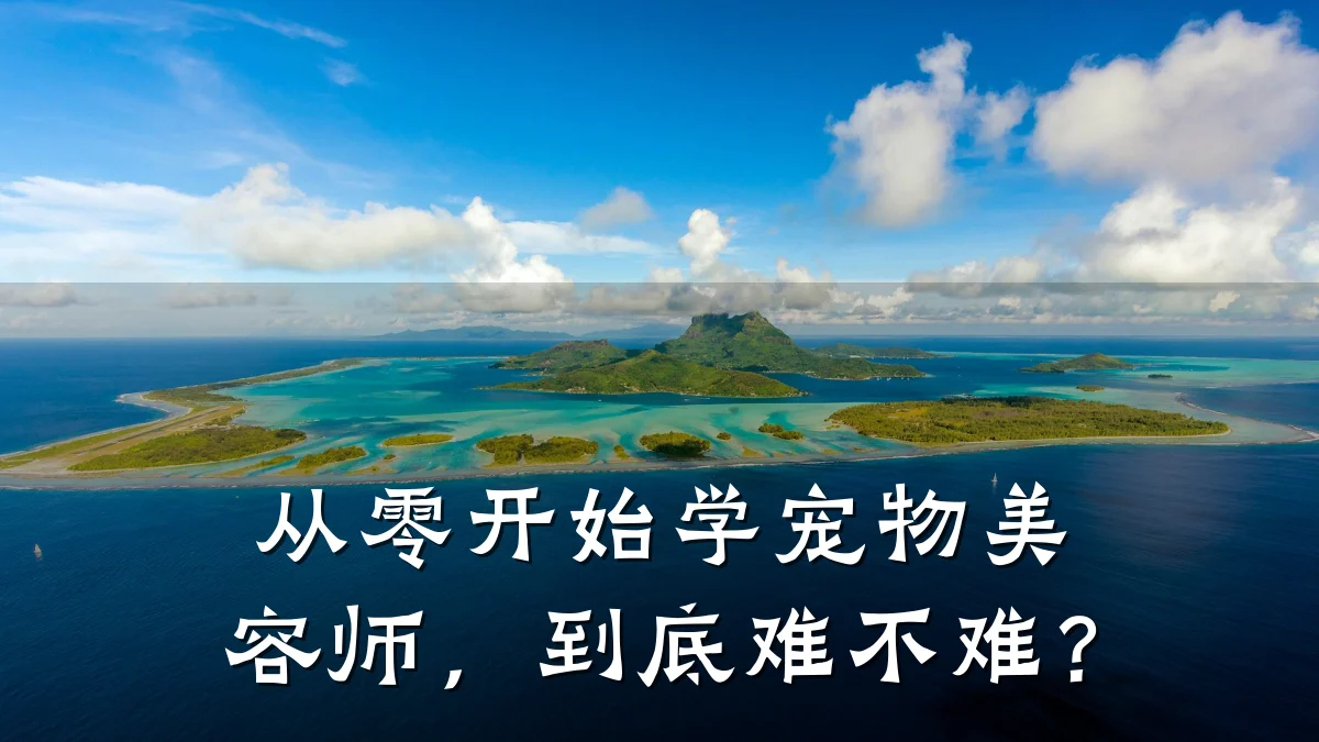 从零开始学宠物美容师,到底难不难?