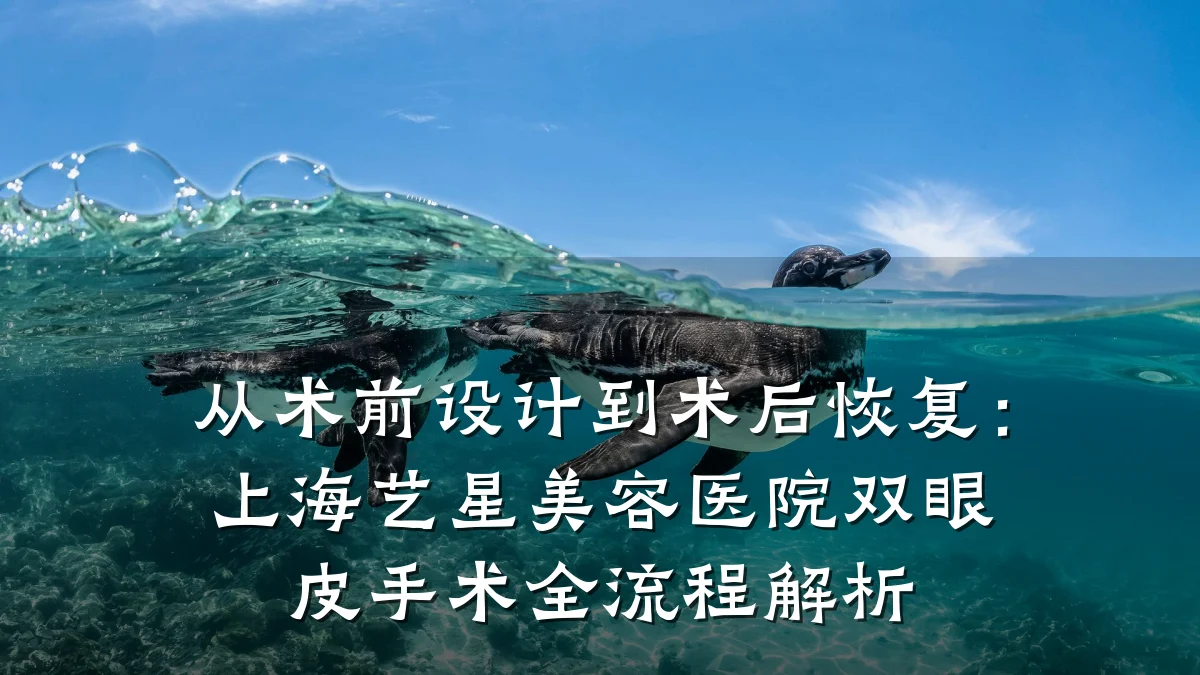 从术前设计到术后恢复:上海艺星美容医院双眼皮手术全流程解析