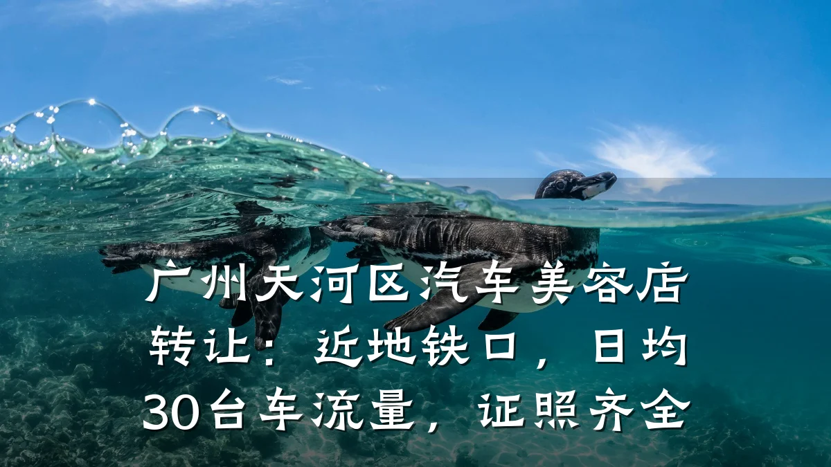 广州天河区汽车美容店转让:近地铁口,日均30台车流量,证照齐全