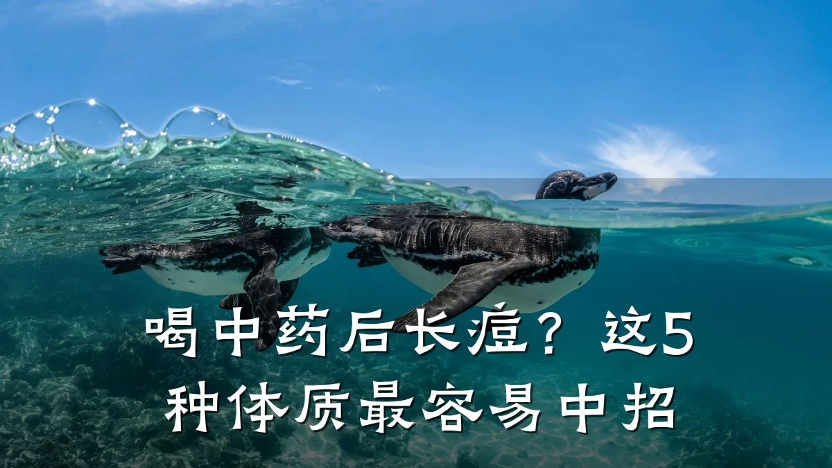 喝中药后长痘?这5种体质最容易中招