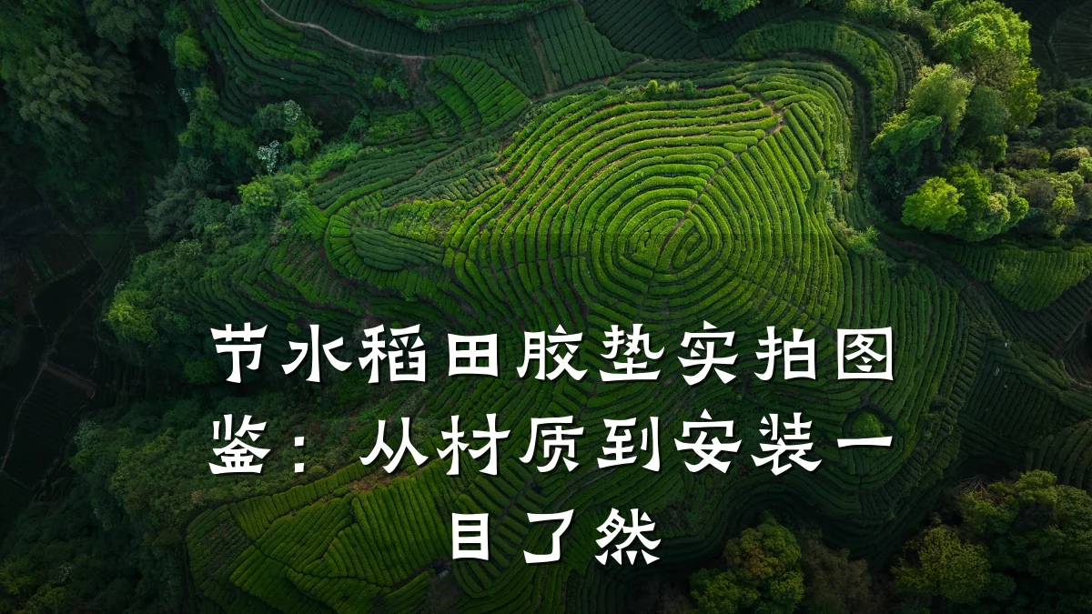 节水稻田胶垫实拍图鉴:从材质到安装一目了然