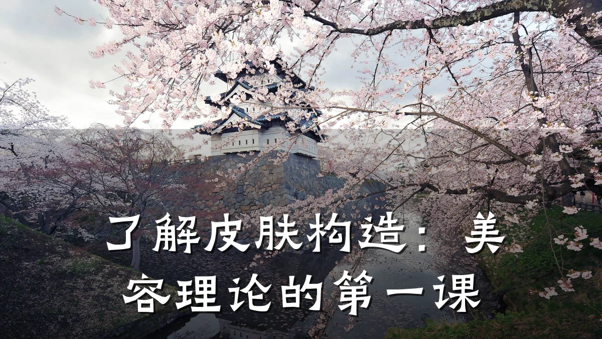 了解皮肤构造:美容理论的第一课