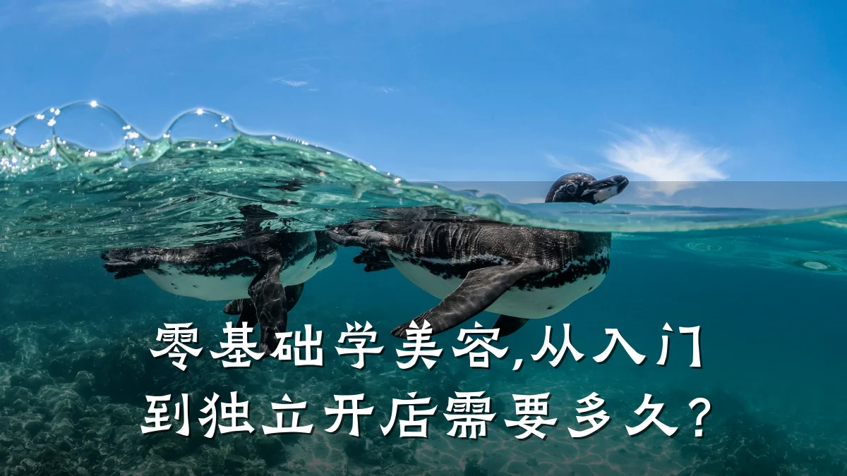 零基础学美容,从入门到独立开店需要多久?