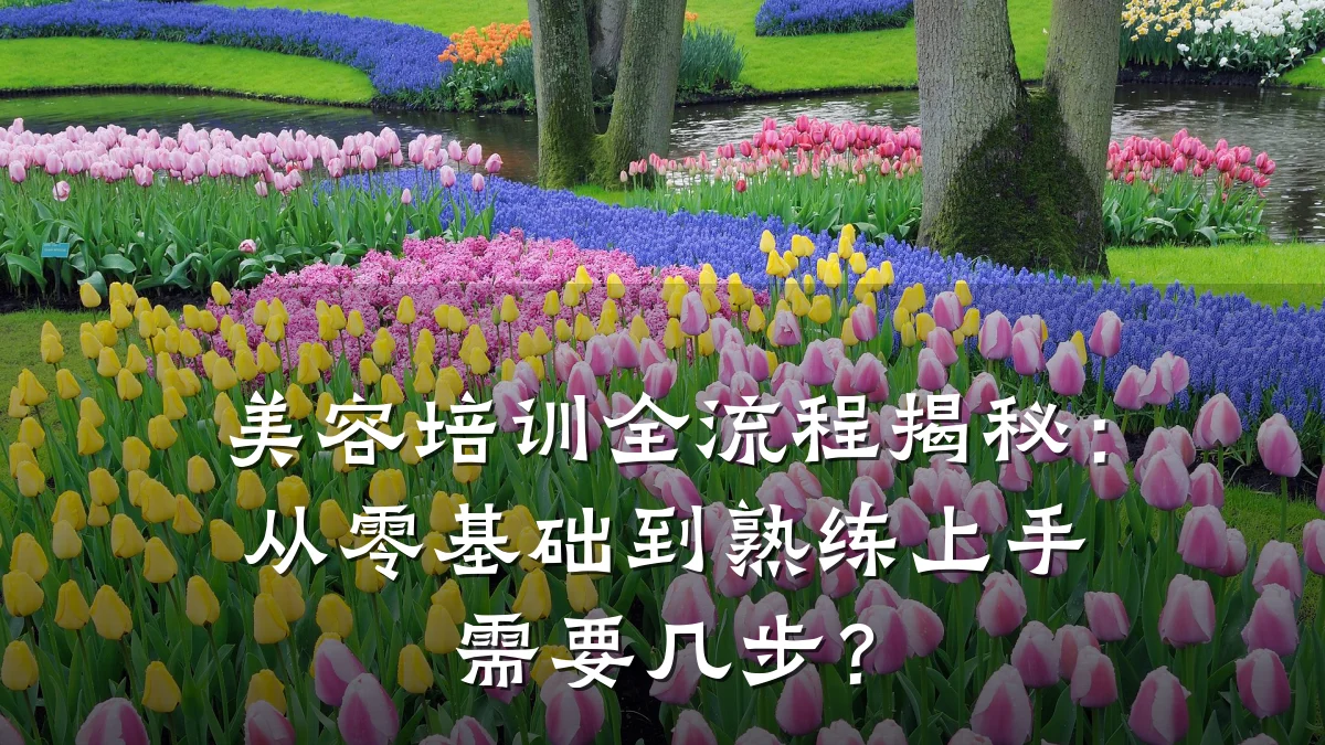 美容培训全流程揭秘:从零基础到熟练上手需要几步?