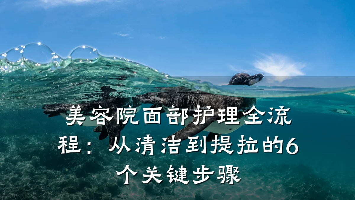 美容院面部护理全流程:从清洁到提拉的6个关键步骤