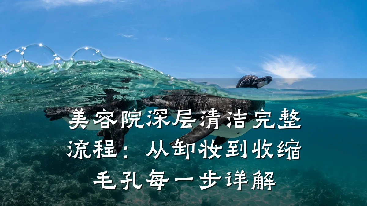 美容院深层清洁完整流程:从卸妆到收缩毛孔每一步详解
