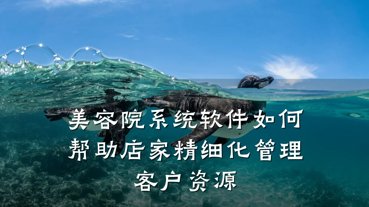 美容院系统软件如何帮助店家精细化管理客户资源