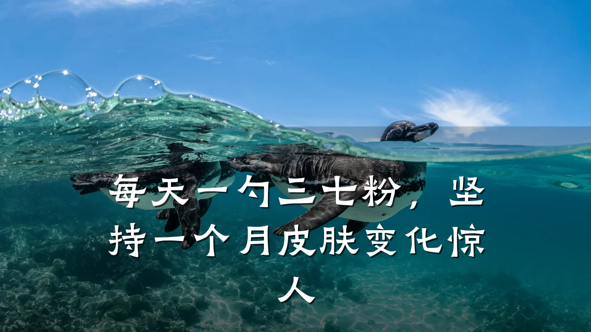 每天一勺三七粉,坚持一个月皮肤变化惊人