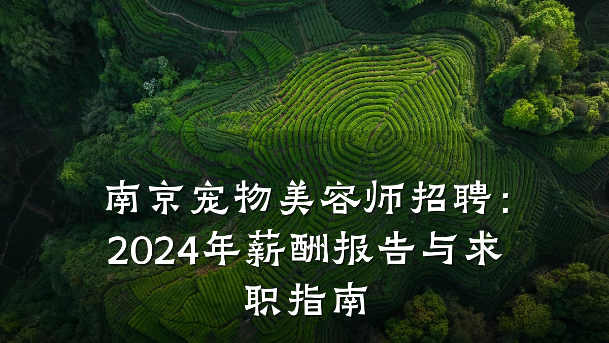 南京宠物美容师招聘:2024年薪酬报告与求职指南