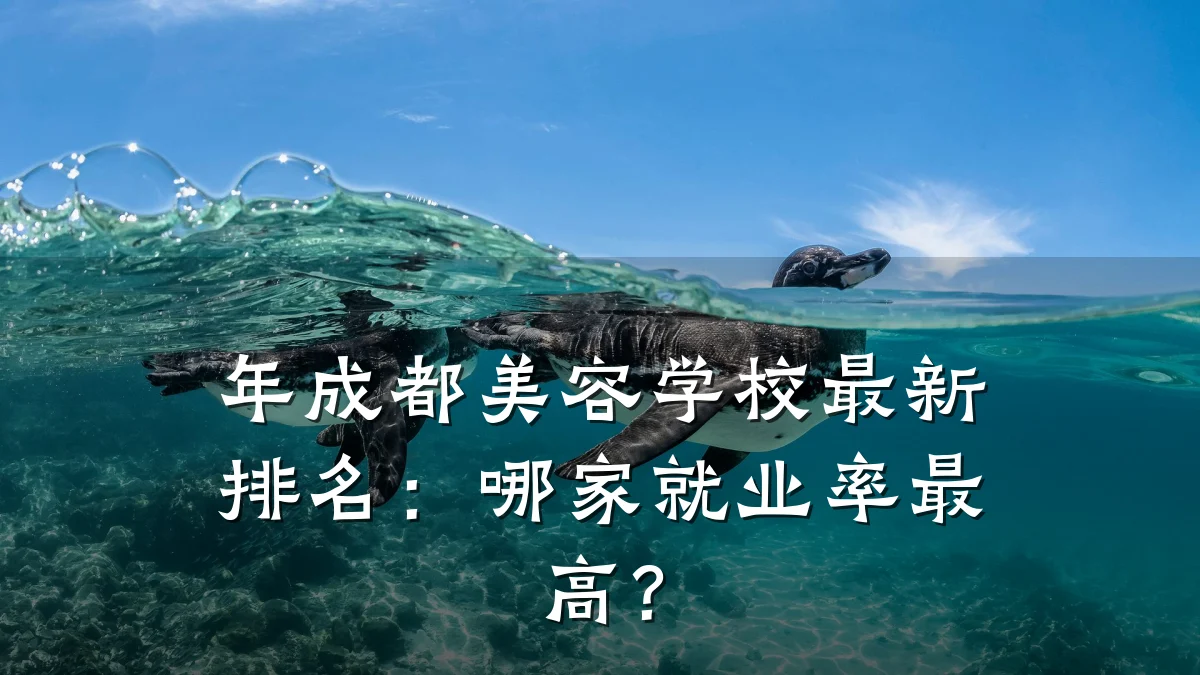 年成都美容学校最新排名:哪家就业率最高?