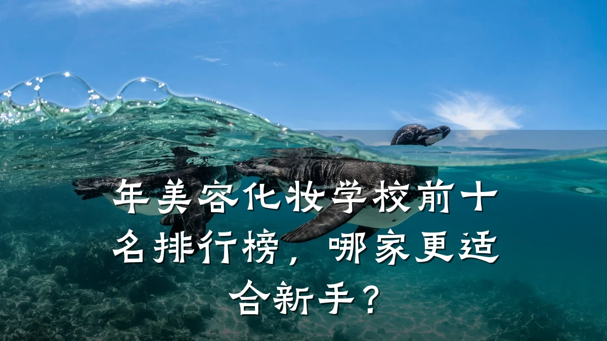 年美容化妆学校前十名排行榜,哪家更适合新手?