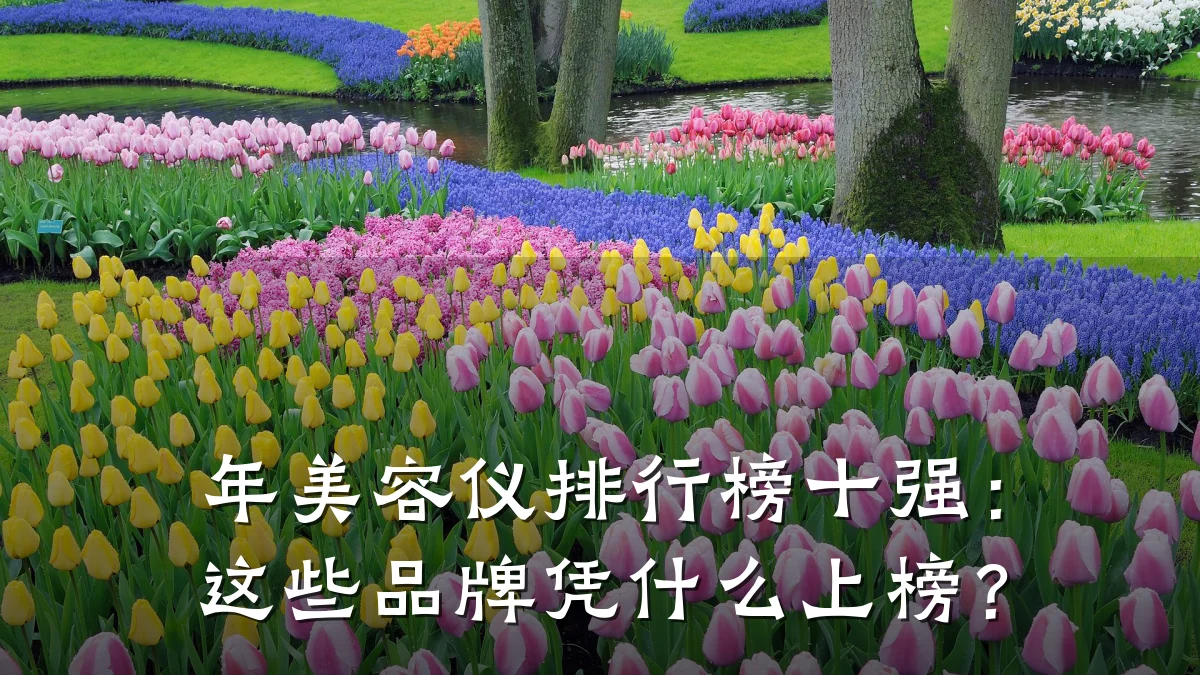 年美容仪排行榜十强：这些品牌凭什么上榜？