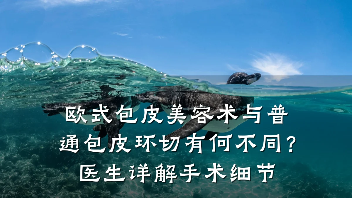 欧式包皮美容术与普通包皮环切有何不同?医生详解手术细节
