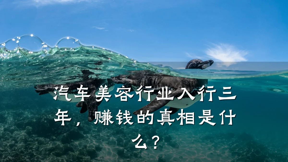 汽车美容行业入行三年,赚钱的真相是什么?