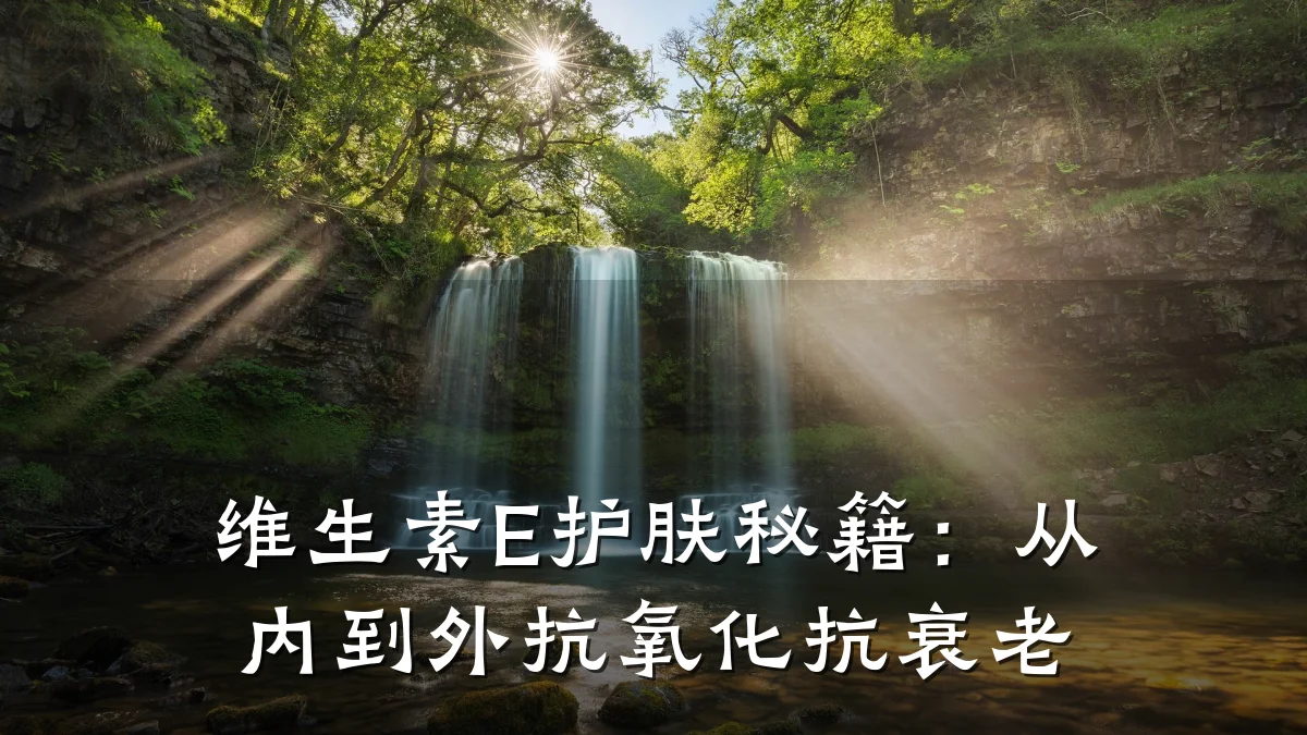 维生素E护肤秘籍:从内到外抗氧化抗衰老