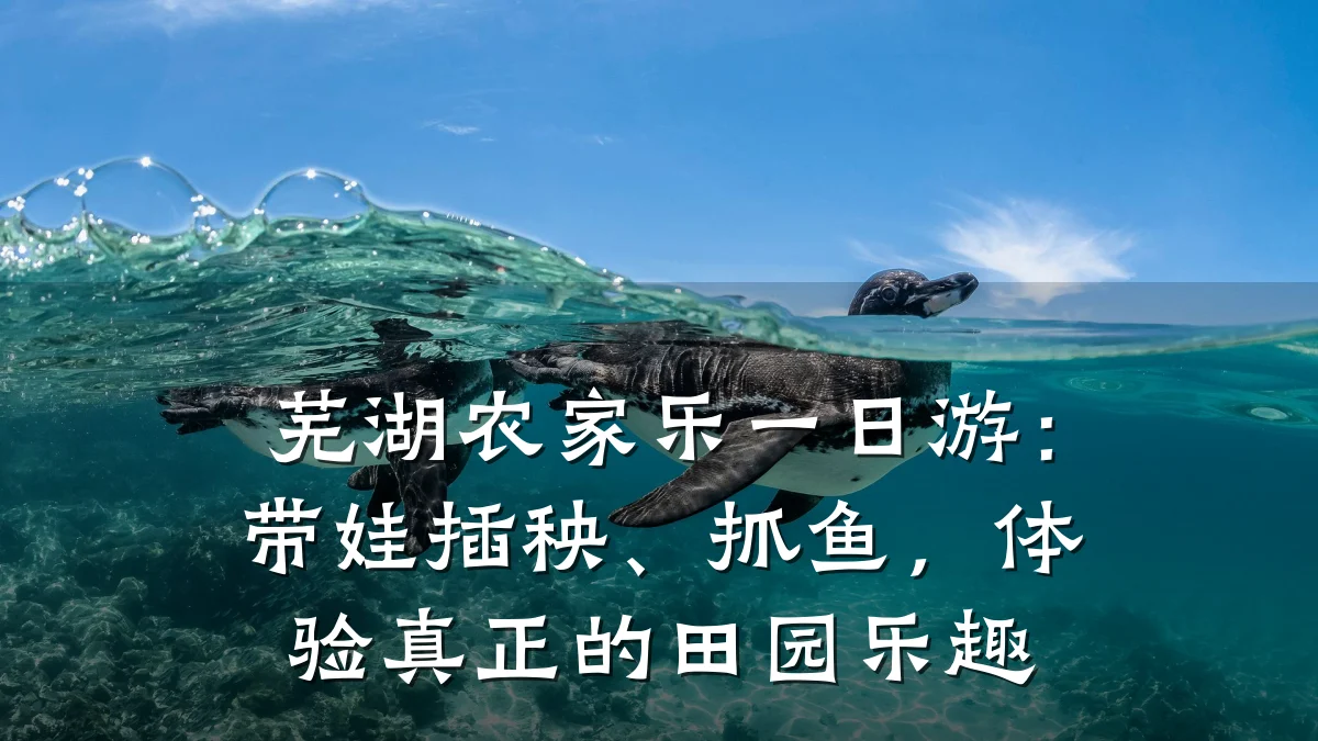 芜湖农家乐一日游:带娃插秧、抓鱼,体验真正的田园乐趣