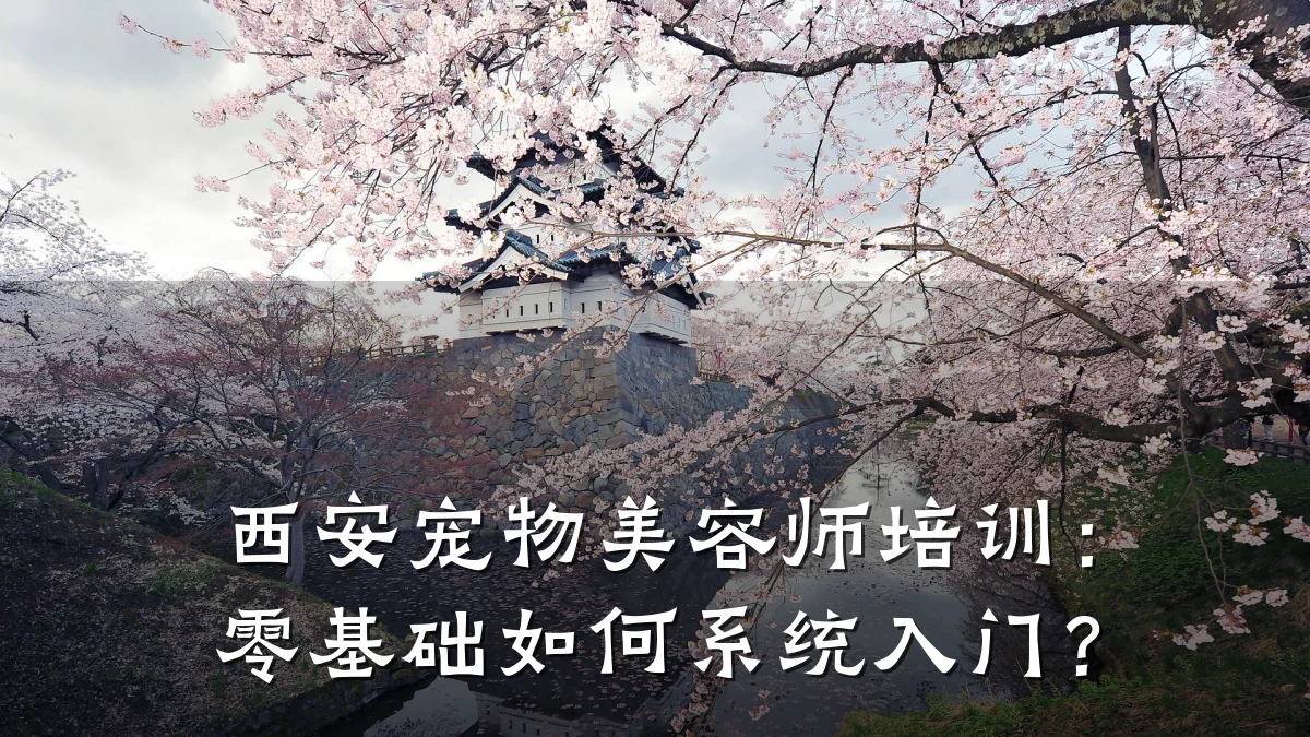 西安宠物美容师培训:零基础如何系统入门?