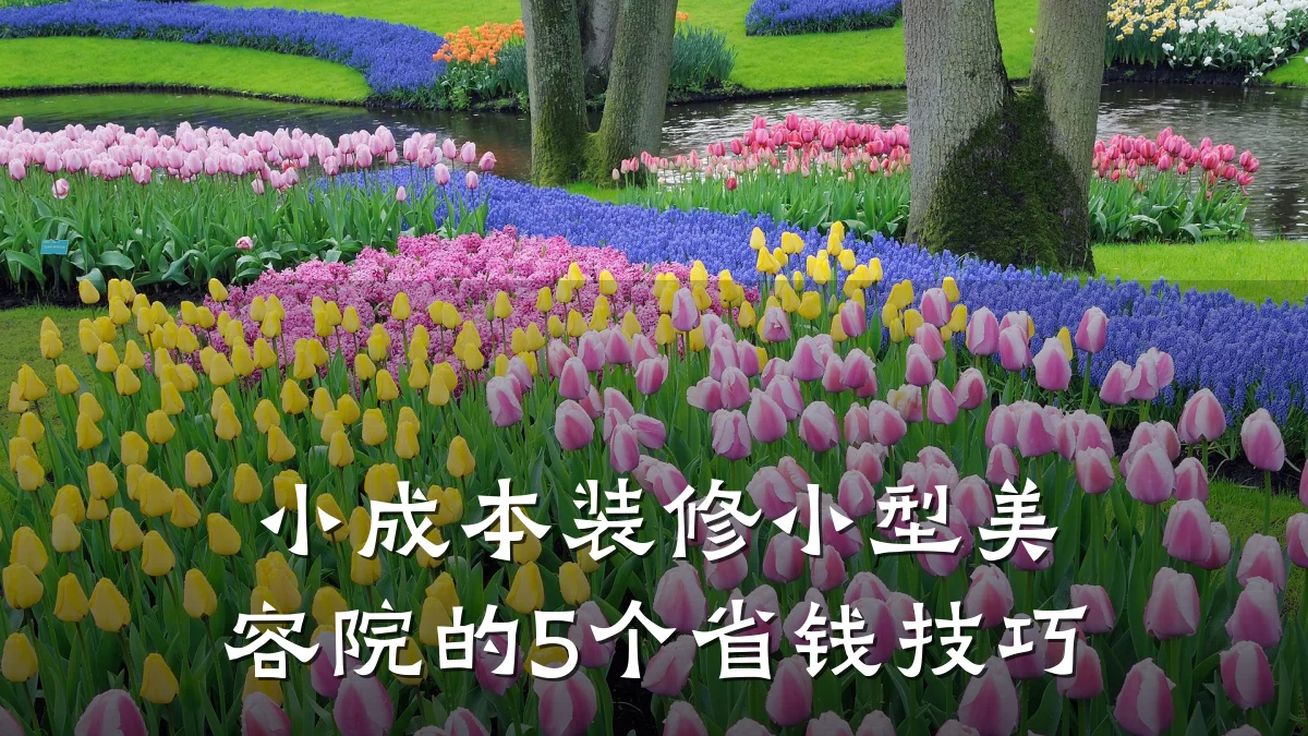 小成本装修小型美容院的5个省钱技巧