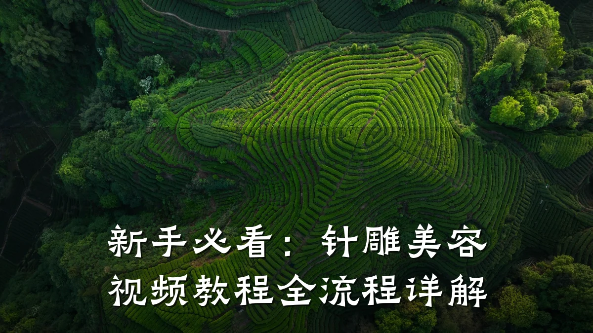 新手必看:针雕美容视频教程全流程详解
