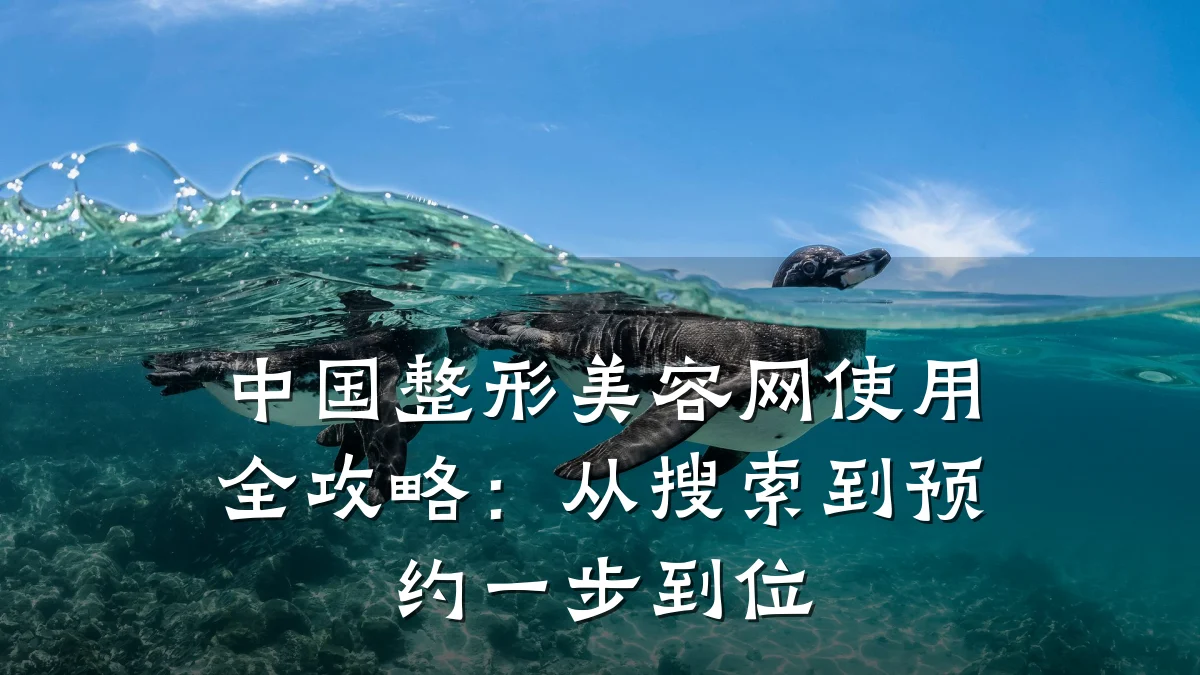 中国整形美容网使用全攻略:从搜索到预约一步到位