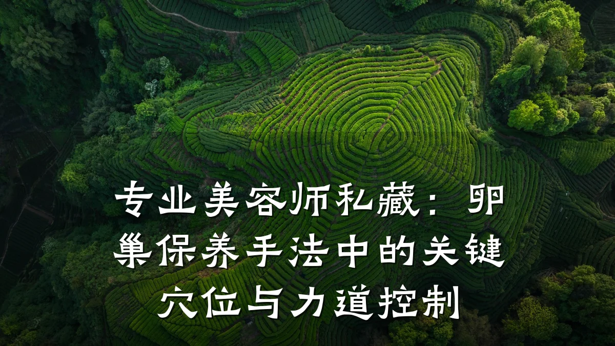 专业美容师私藏:卵巢保养手法中的关键穴位与力道控制