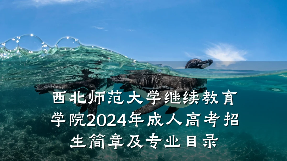 西北师范大学继续教育学院2024年成人高考招生简章及专业目录