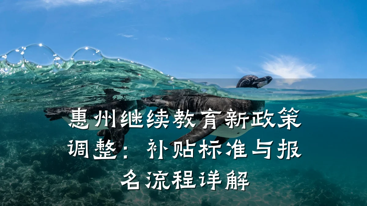 惠州继续教育新政策调整:补贴标准与报名流程详解