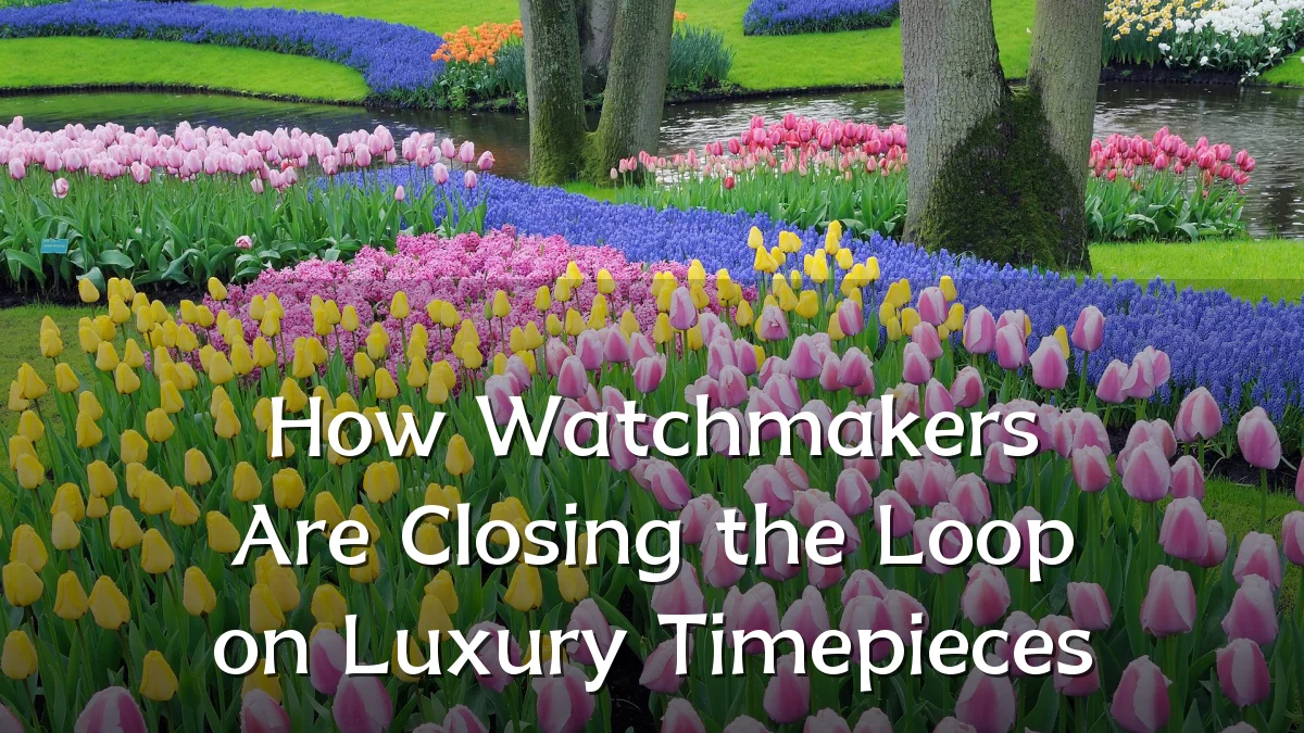 How Watchmakers Are Closing the Loop on Luxury Timepieces