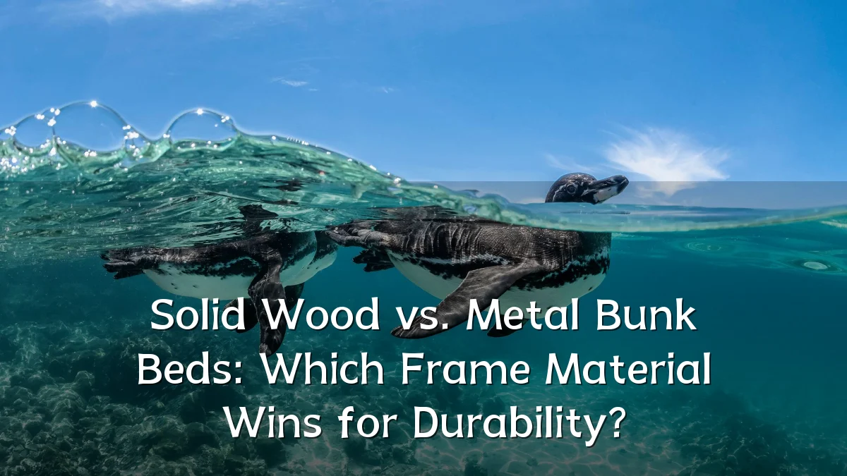 Solid Wood vs. Metal Bunk Beds: Which Frame Material Wins for Durability?