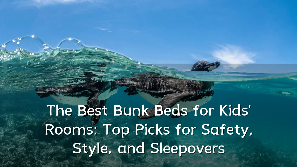 The Best Bunk Beds for Kids' Rooms: Top Picks for Safety, Style, and Sleepovers