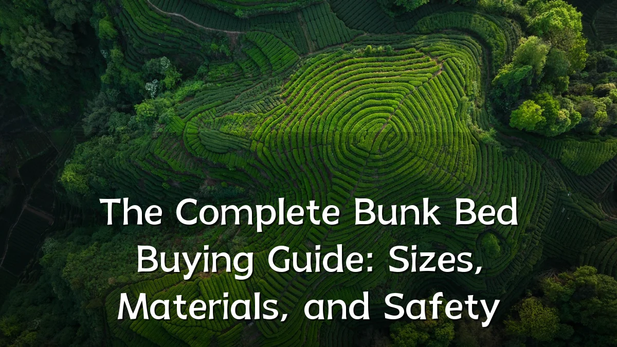 The Complete Bunk Bed Buying Guide: Sizes, Materials, and Safety