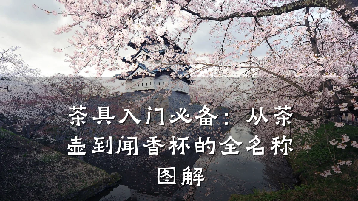 茶具入门必备：从茶壶到闻香杯的全名称图解
